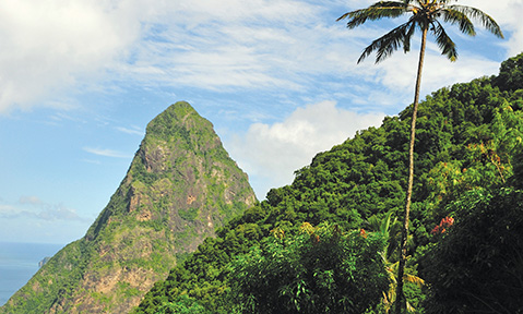 A Windward Islands yacht charter will allow you to discover tropical rainforests and volcanic craters
